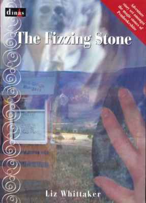 Llun o 'The Fizzing Stone' 
                              gan Liz Whitaker
